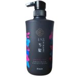 Kracie Ichikami Smoothing Care izlīdzinošs kondicionieris zīdainam matu gludumam, 480 ml